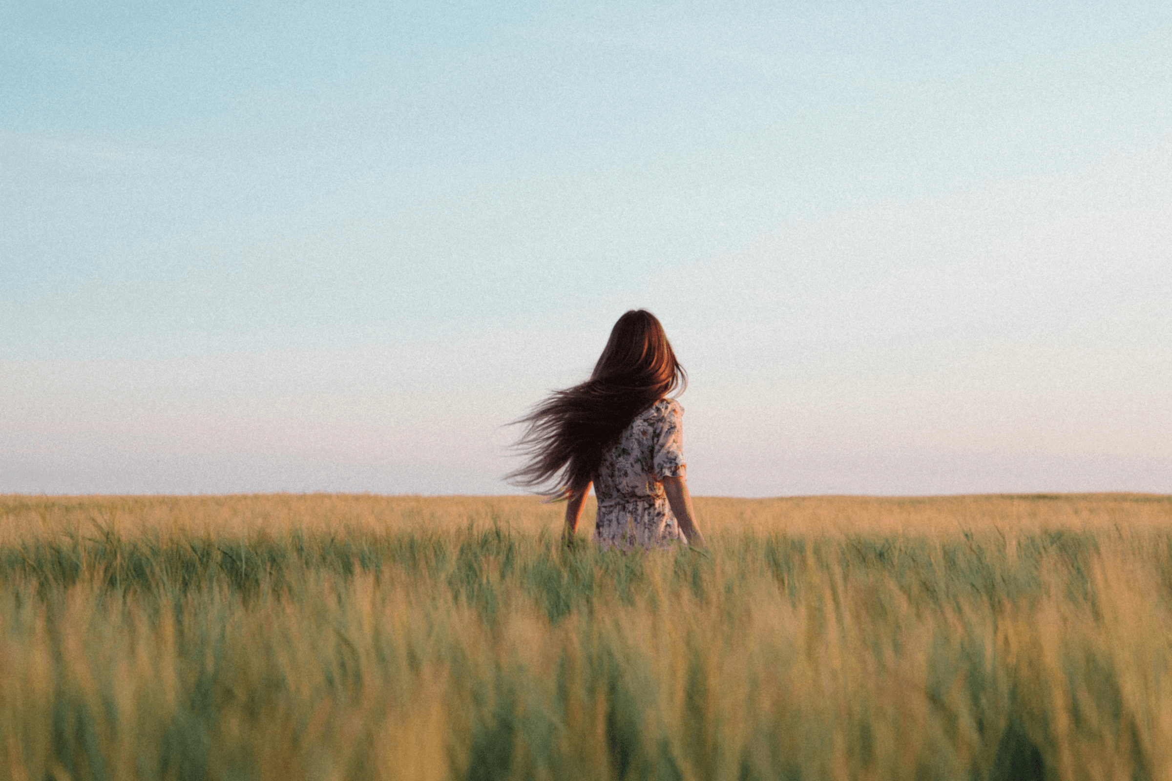 A quiet moment in an open field